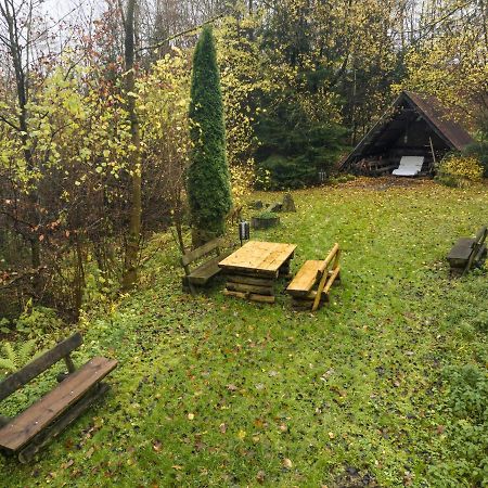 Truth Ruhe Oase, Naturblick, Smart Tv, Terrasse Brilon Exterior photo